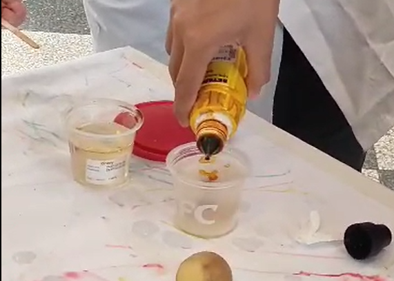 LABORATORIO DI SCIENZE – A CACCIA DI AMIDO CON LO IODIO: LA TITOLAZIONE