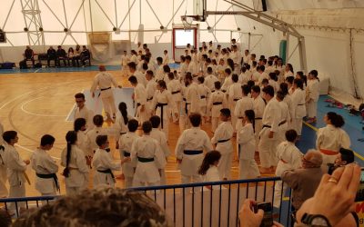 Il karate Shito-ryu