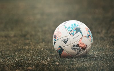 Diari di campioni