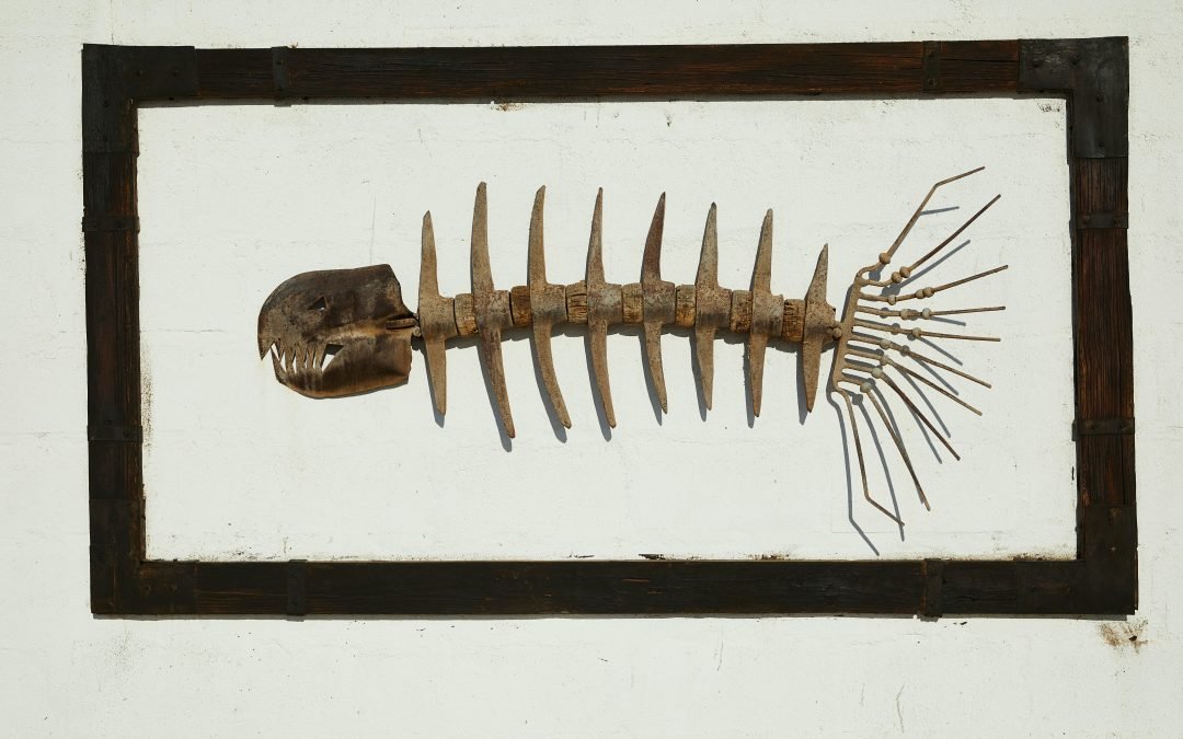 LETTURE DA BRIVIDO SOTTO L’OMBRELLONE